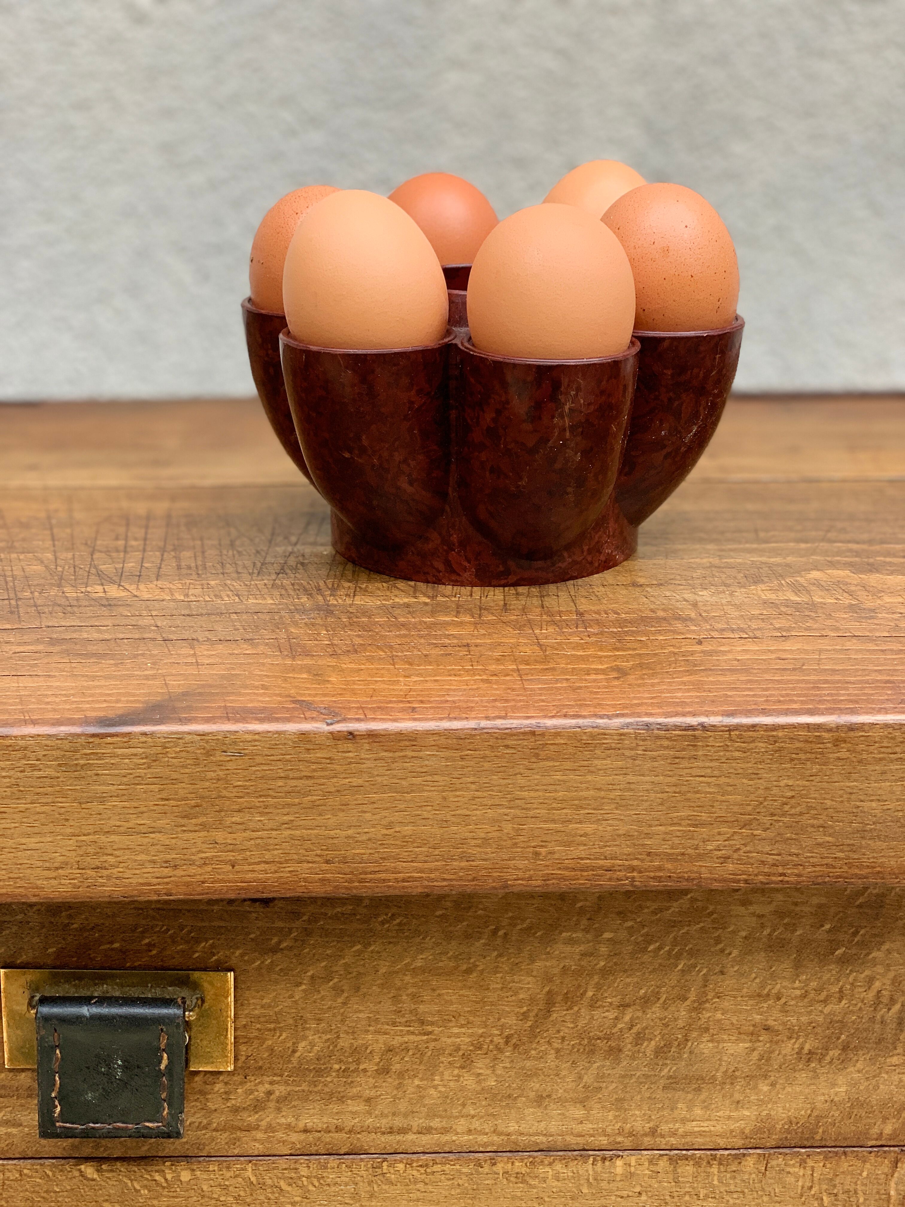 Cockroach in bakelite