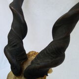 Ancient and very large hunting trophy. Derby Elk