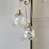 Pair of portable lamps