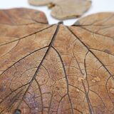 Set of decorative ceramics - "Fond d'Atelier" - N.Lebrun - Belgium 1970s