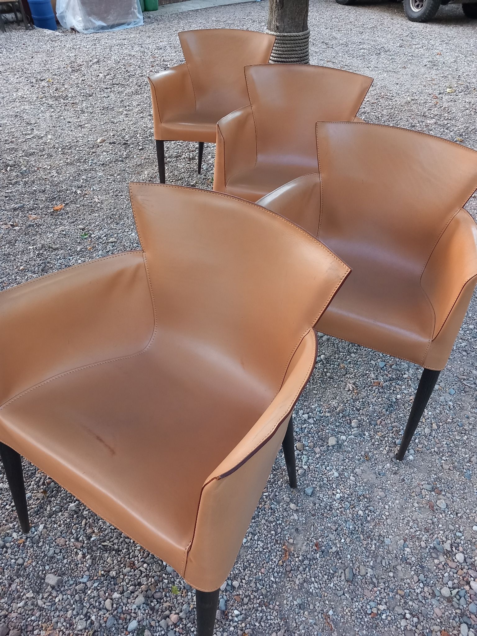 Ensemble de 4 chaises Vela par Carlo Bartoli pour Matteo Grassi