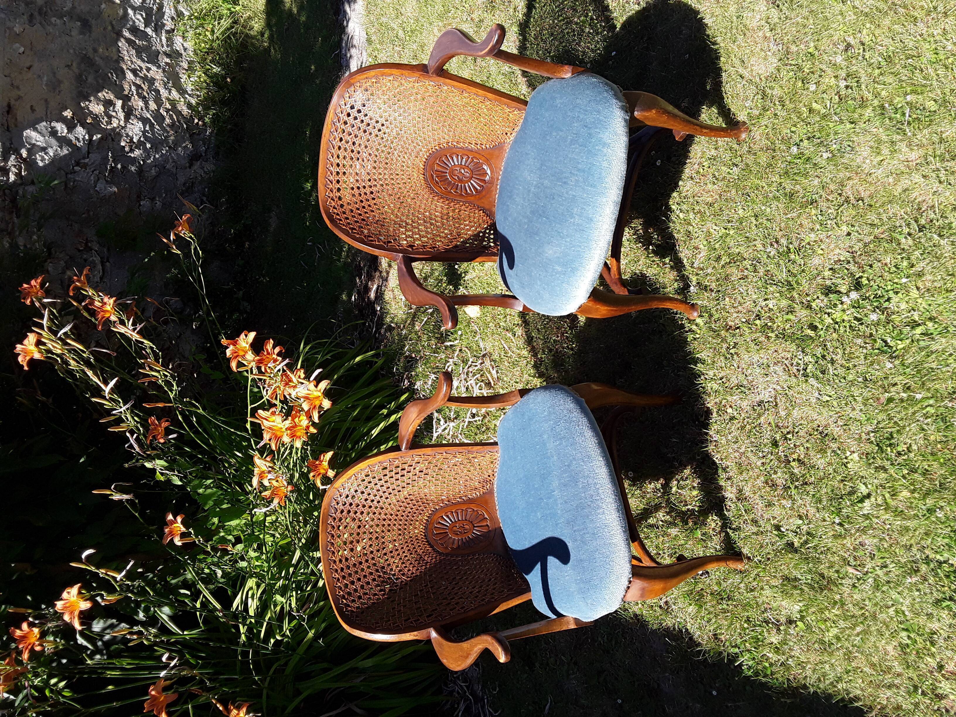 Paire de fauteuils 19ème