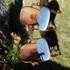 Paire de fauteuils 19ème