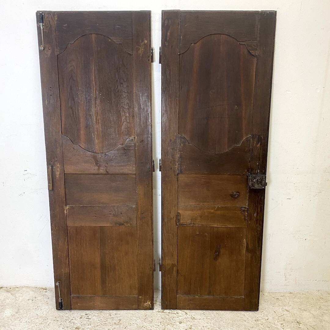 Pair of 19th century oak cabinet doors