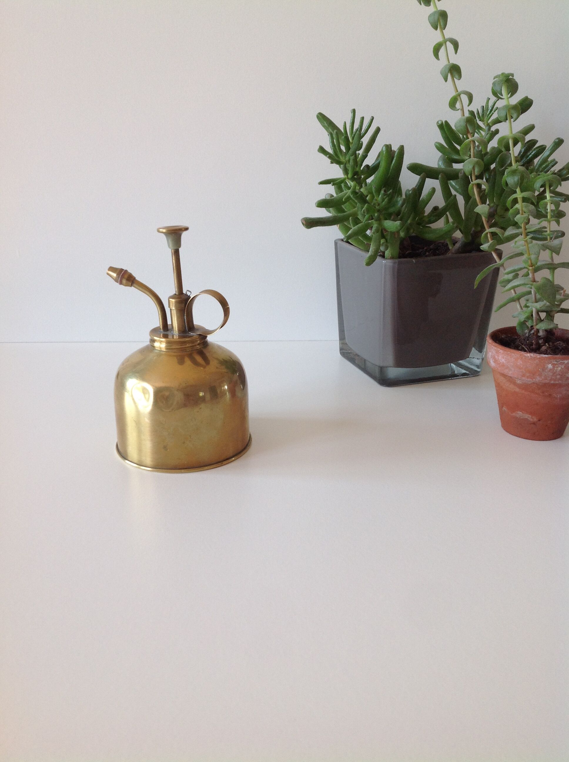 Atomizer for plant in brass