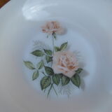 Set of 6 plates in arcopal 70