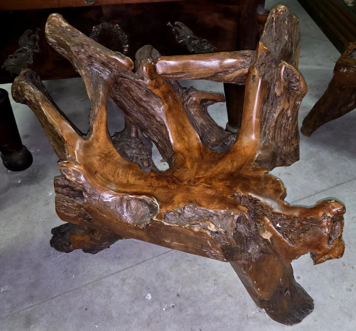 Rare fauteuil en racine d'arbre