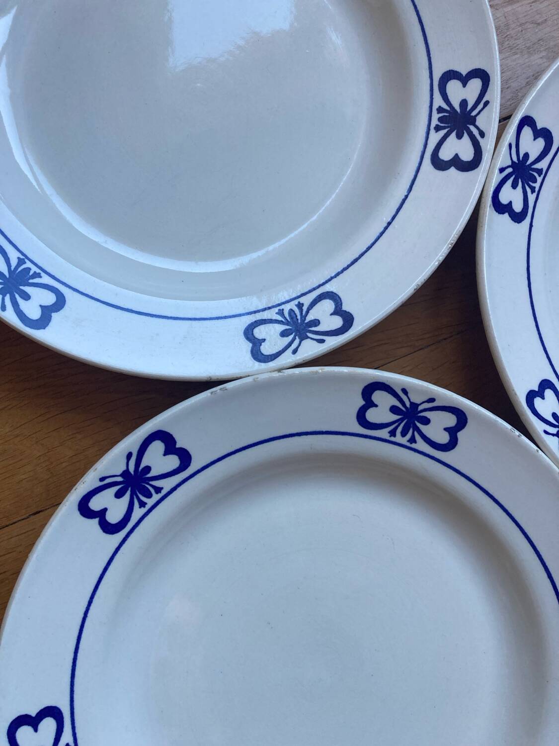 Blue butterfly patterned dinner plates