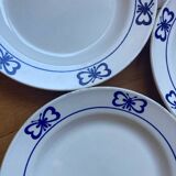 Blue butterfly patterned dinner plates