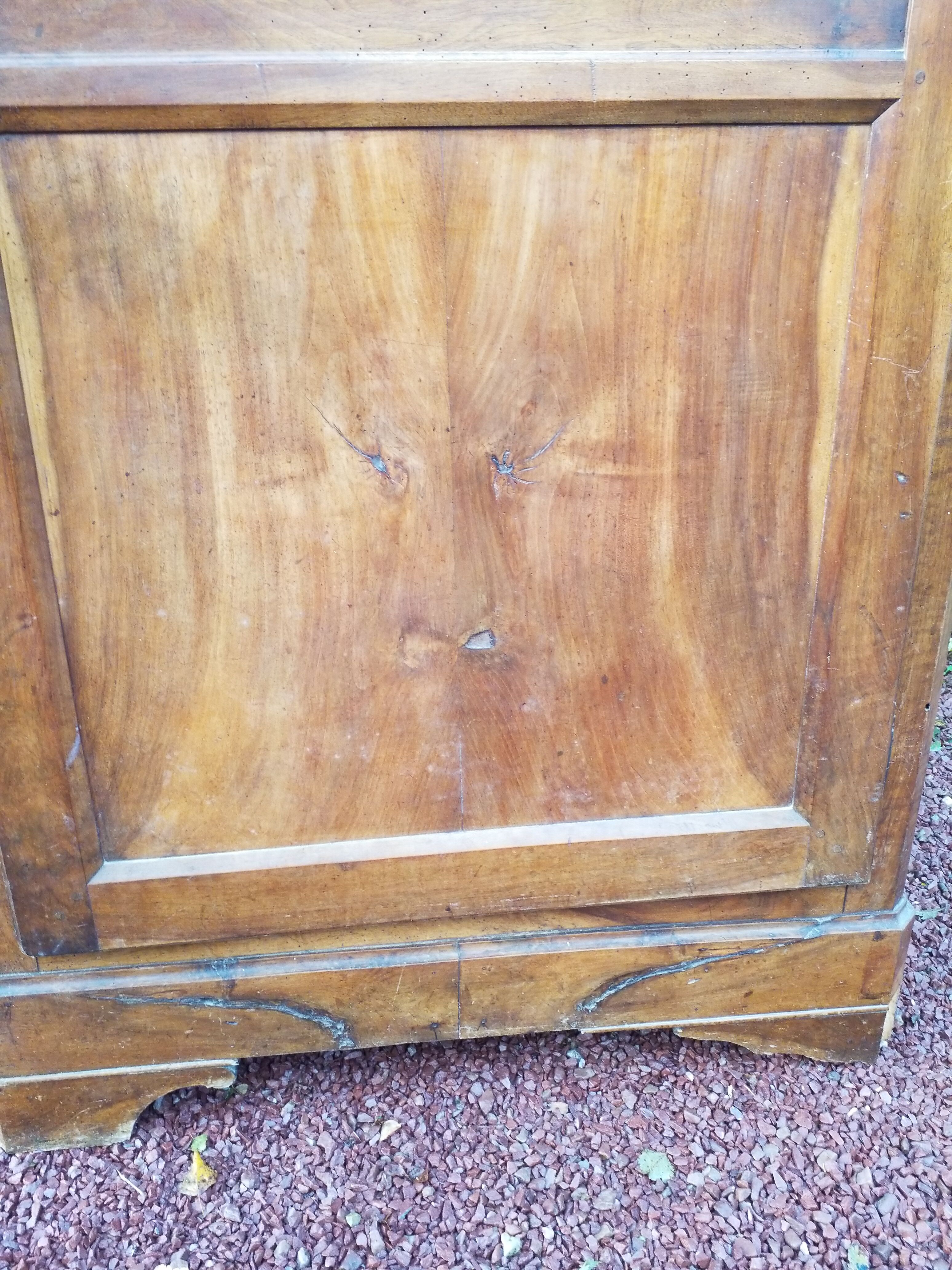 Elm magnifying glass bonnetière