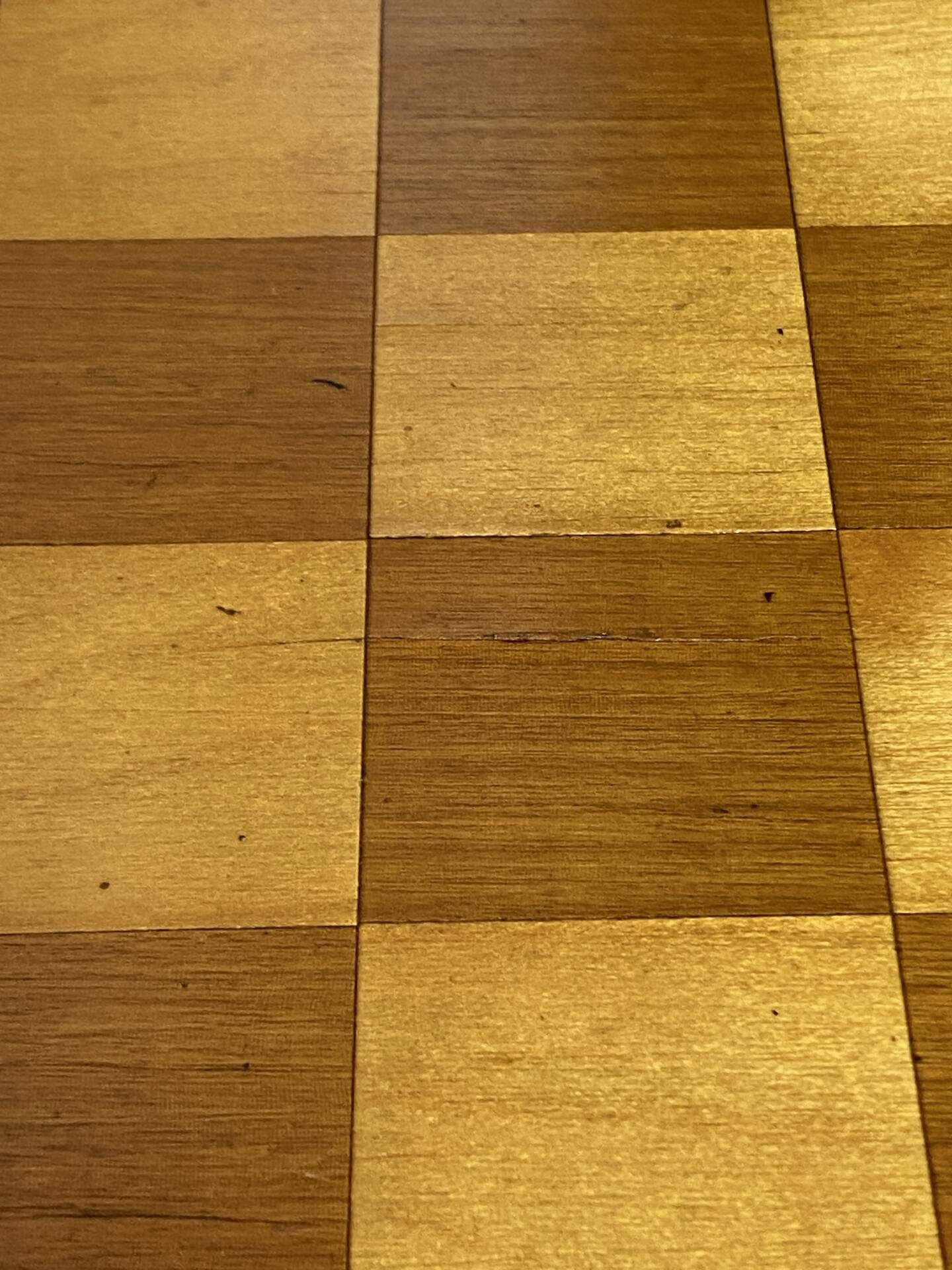 Chess set with wooden board and pieces