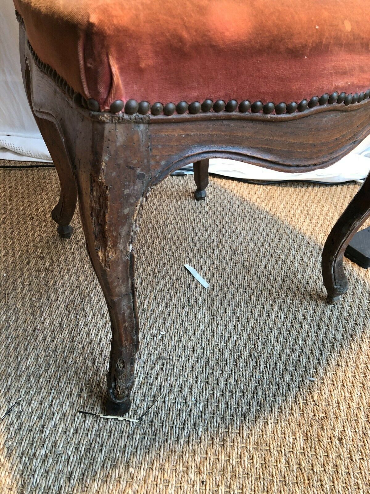 Musician chair period Louis XV