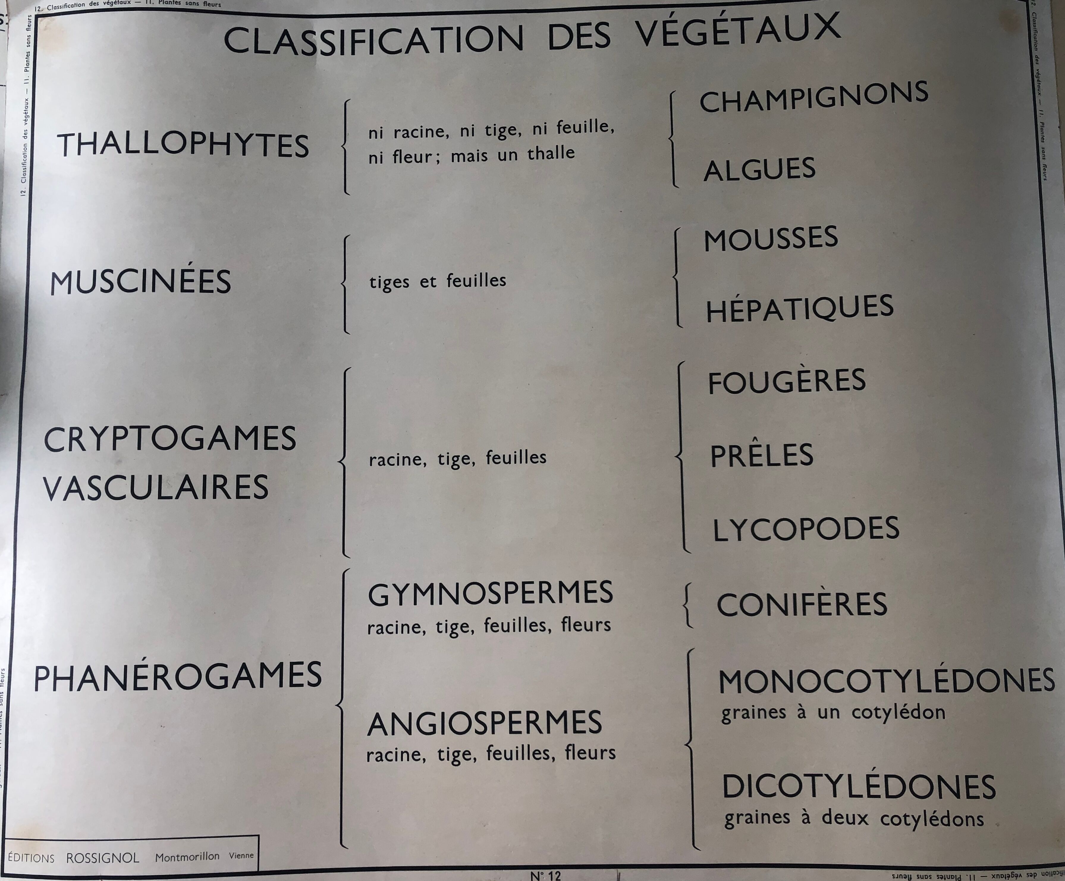 Former School Poster Rossignol Number 11