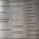 Former School Poster Rossignol Number 11