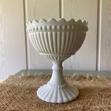 Opaline ring sizer cup