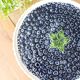 Pie dish on foot, in slip with blackberry decoration
