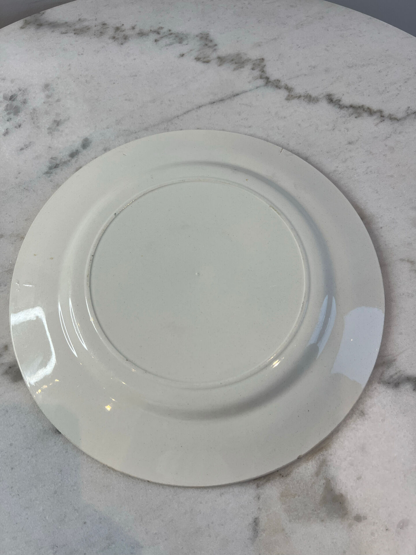 Assiette plate Salins décor bleues 24,5cm