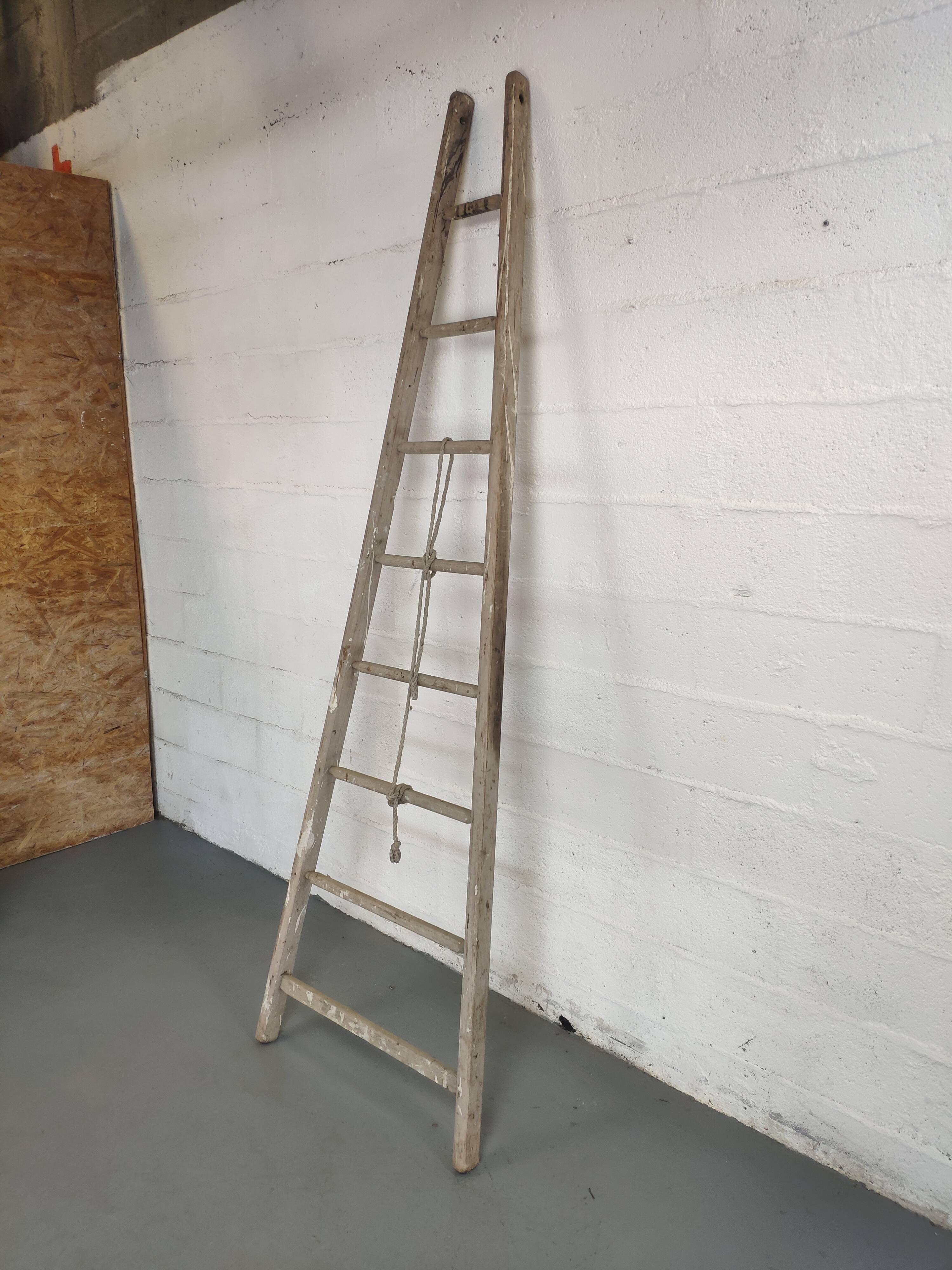 Échelle de fruitier ancienne 2.40m