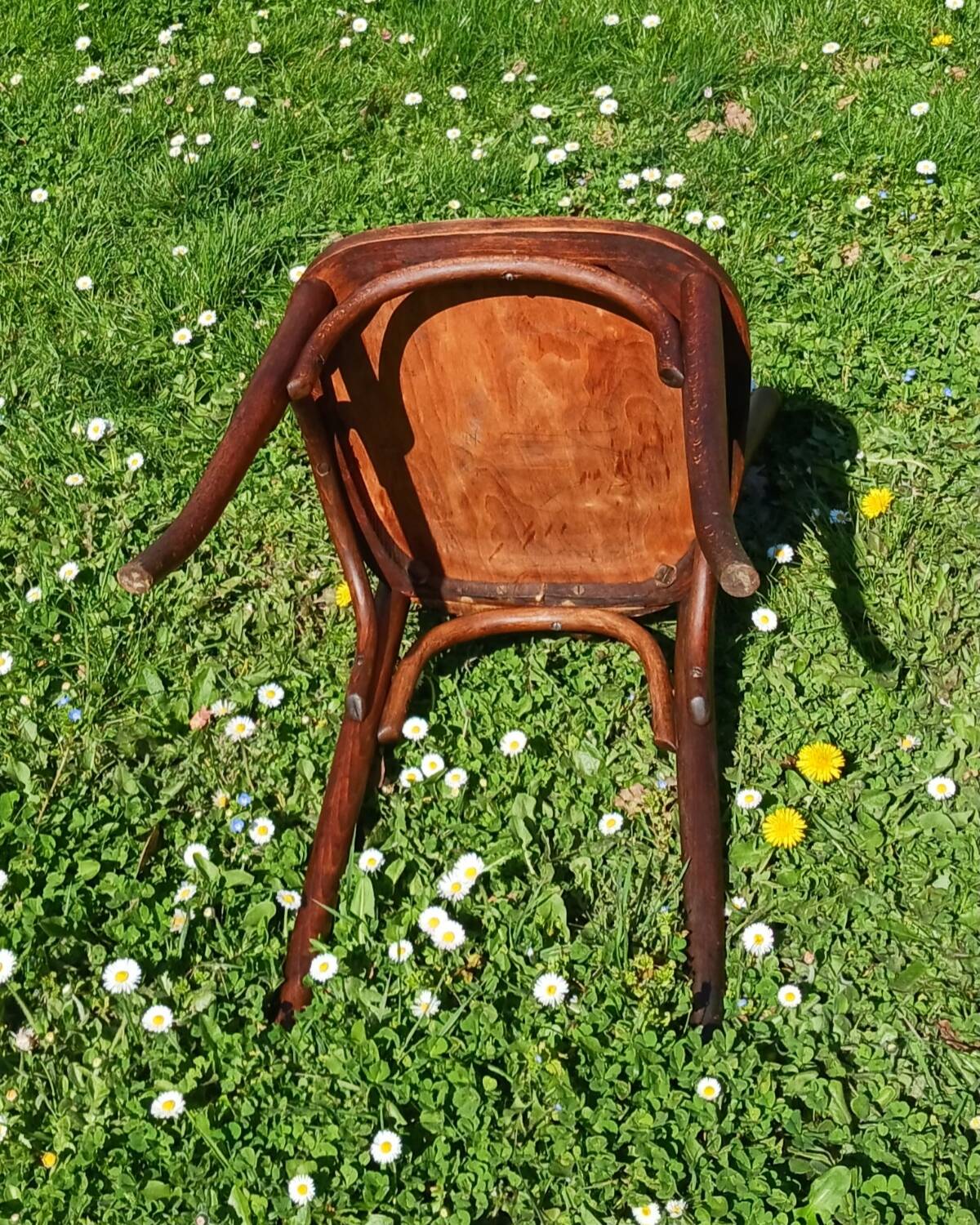 Baumann Art Nouveau bistro chair