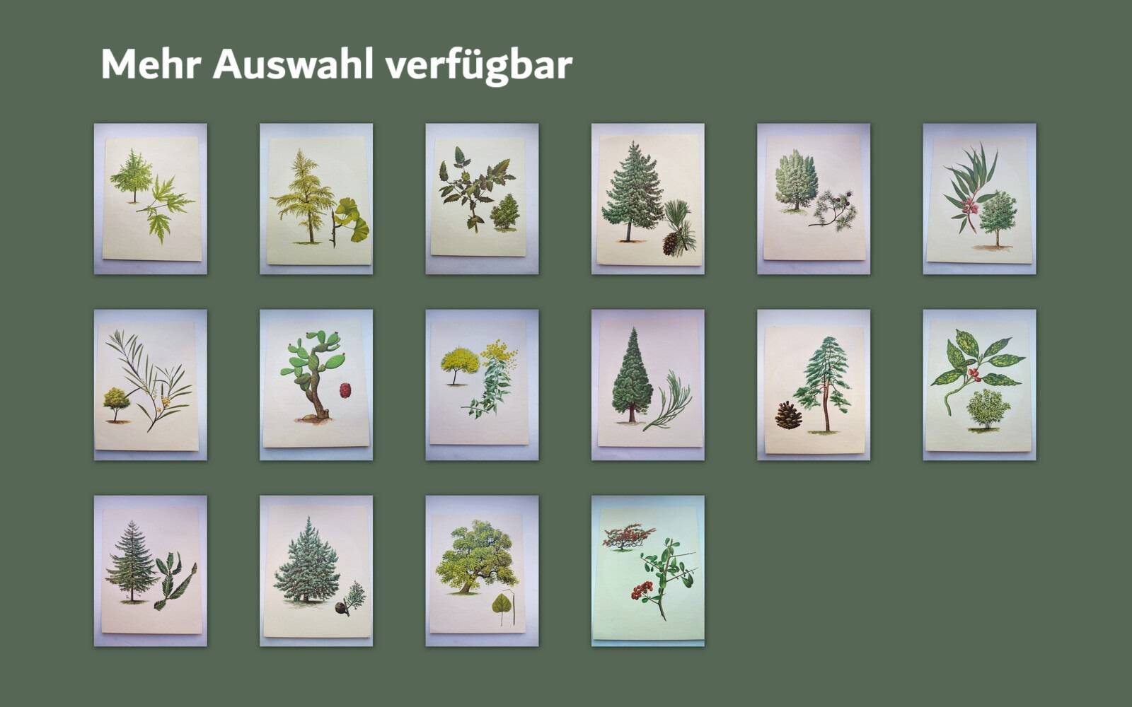 Illustration of the 40-crest tree - Vintage Botanical Nature Plate