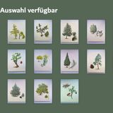 Illustration of the 40-crest tree - Vintage Botanical Nature Plate