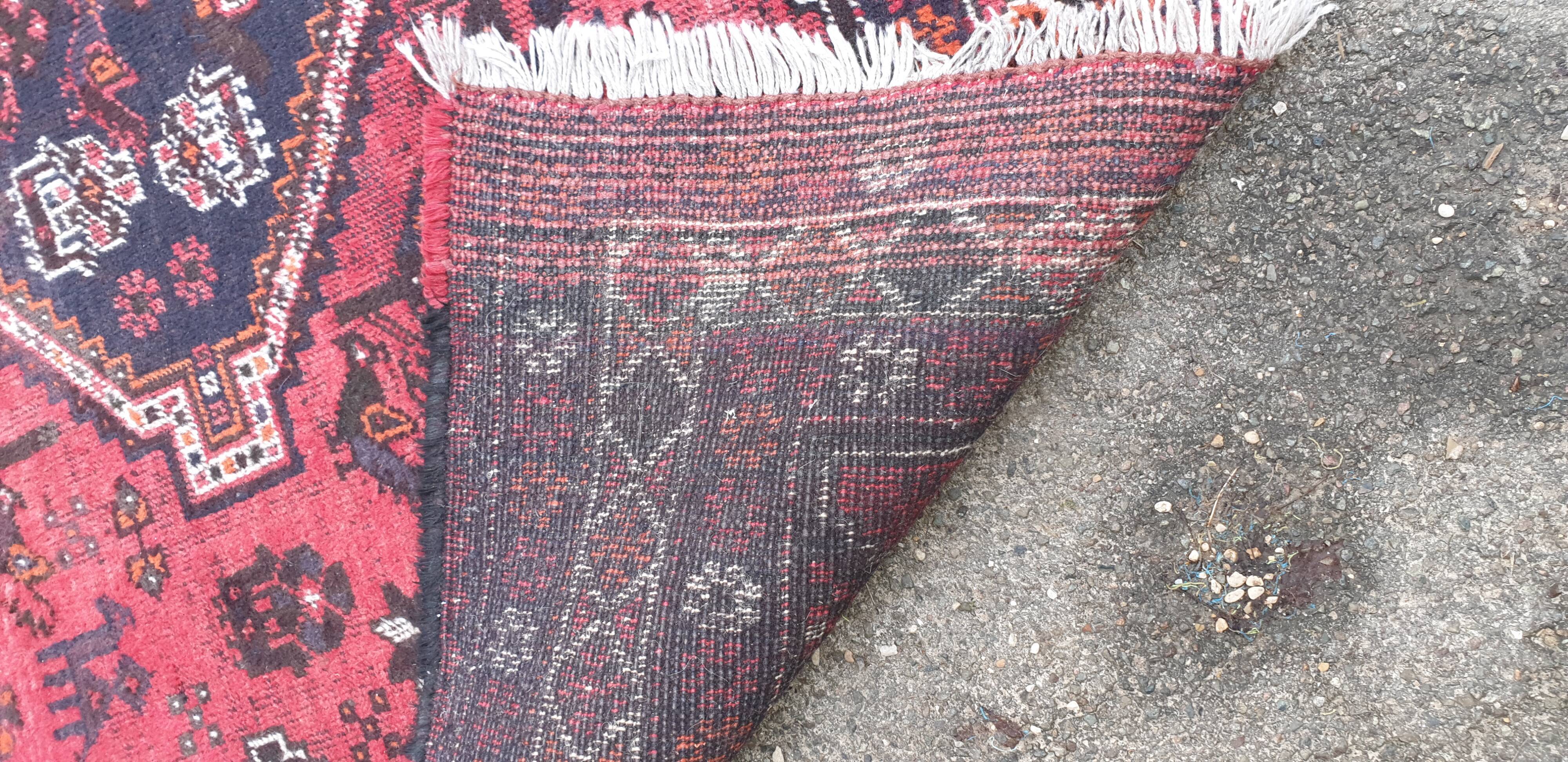 Oriental carpet wool
