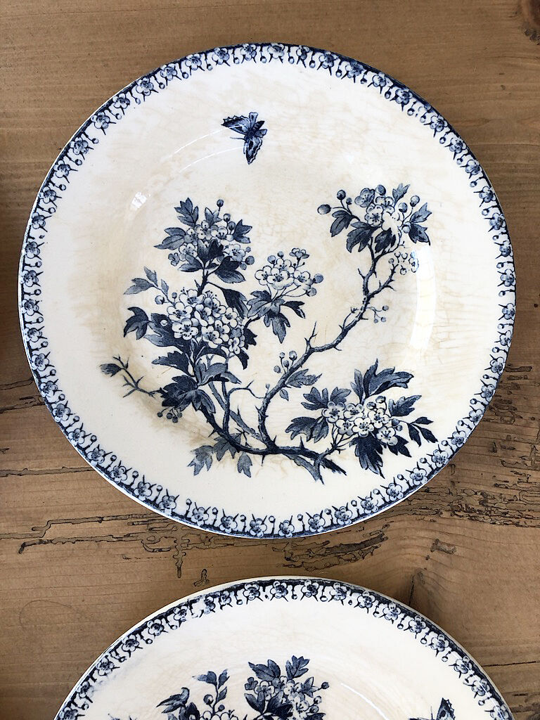 11 plates Terre de Fer Aubepine