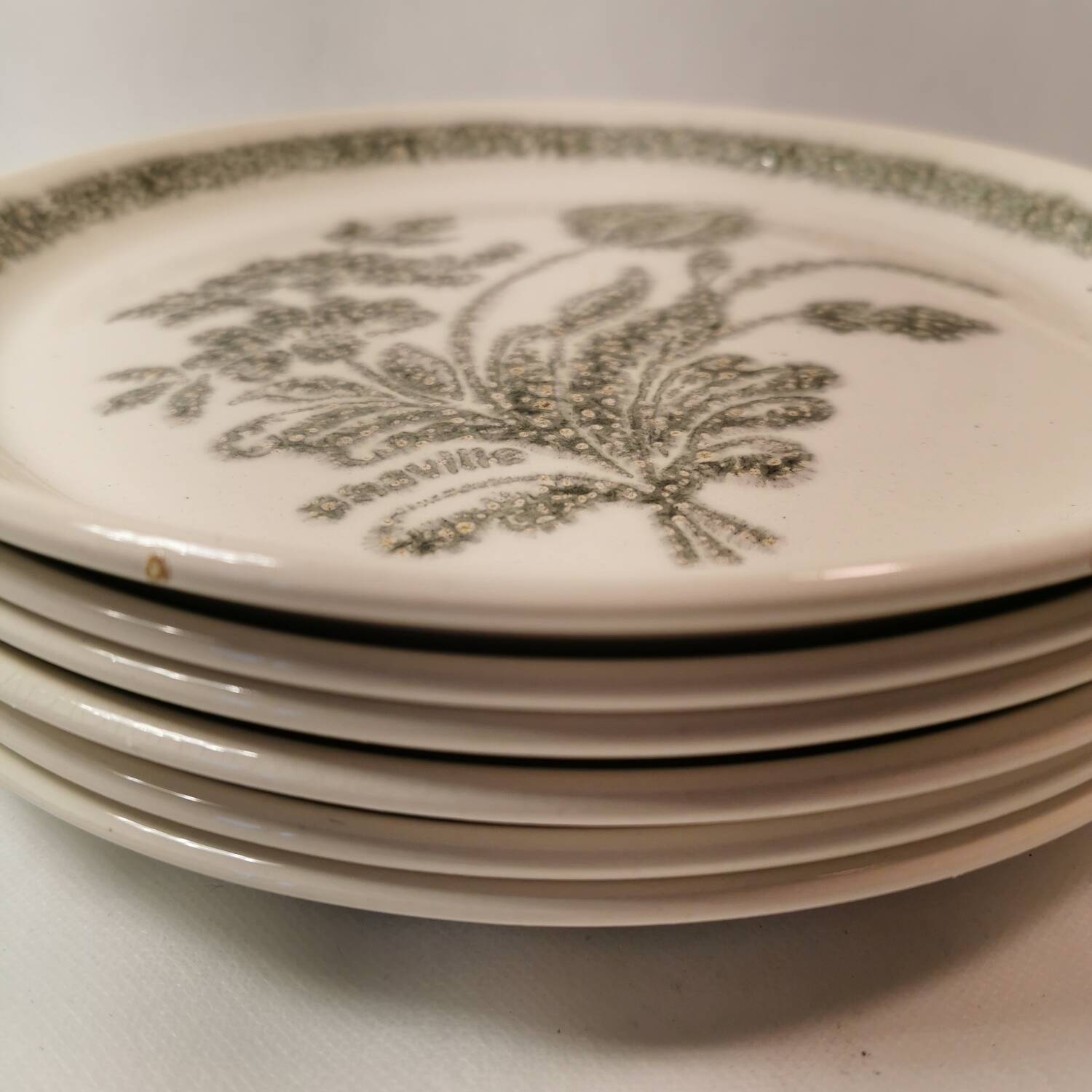 6 Ceramic Plates Vintage Botanical Floral Decor TBE