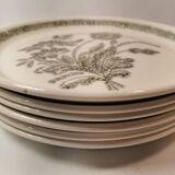 6 Ceramic Plates Vintage Botanical Floral Decor TBE