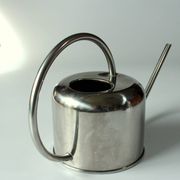 Stainless steel watering can, ideal for orchids and cactus, vintage from the 80s