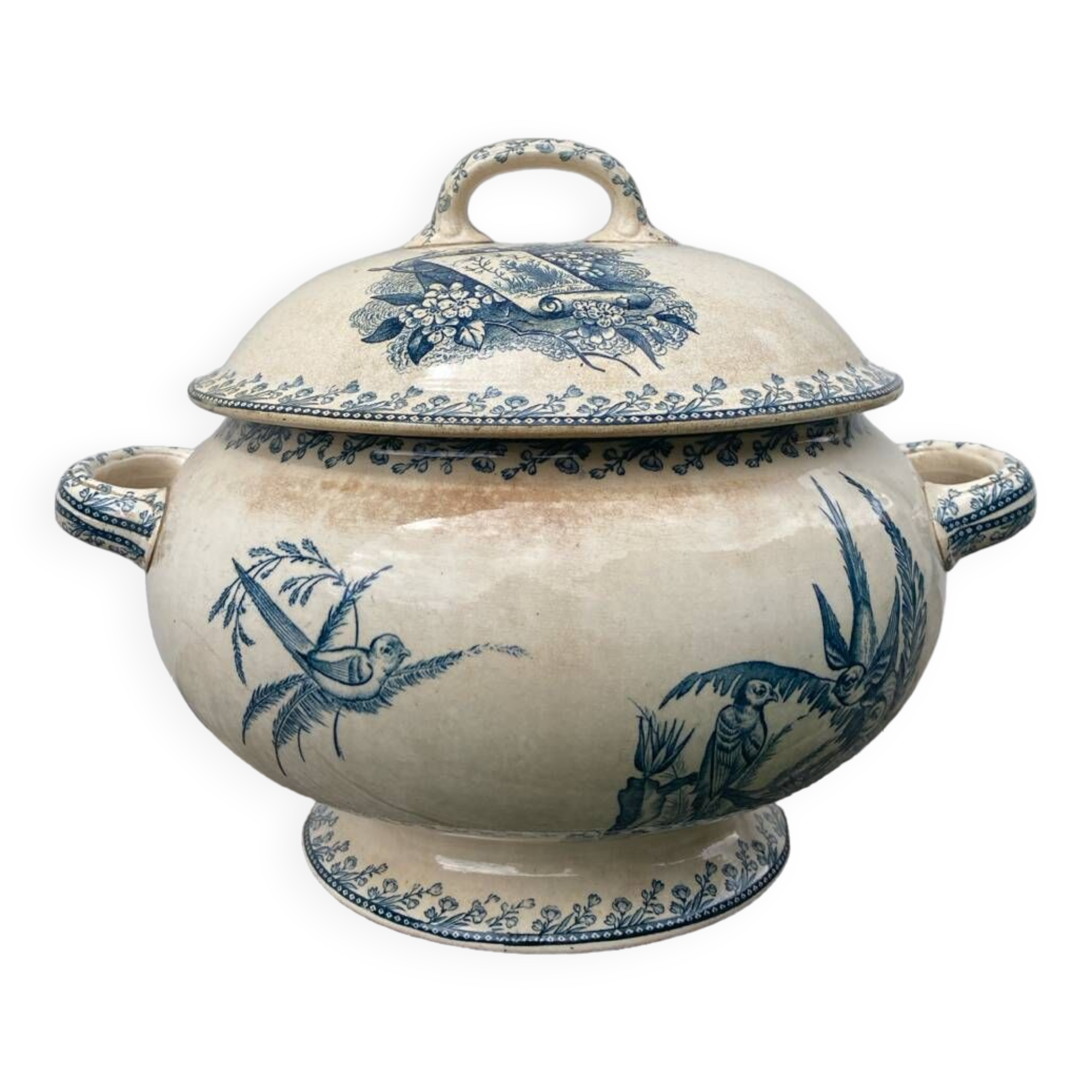 Earthenware tureen tureen Pexonne birds