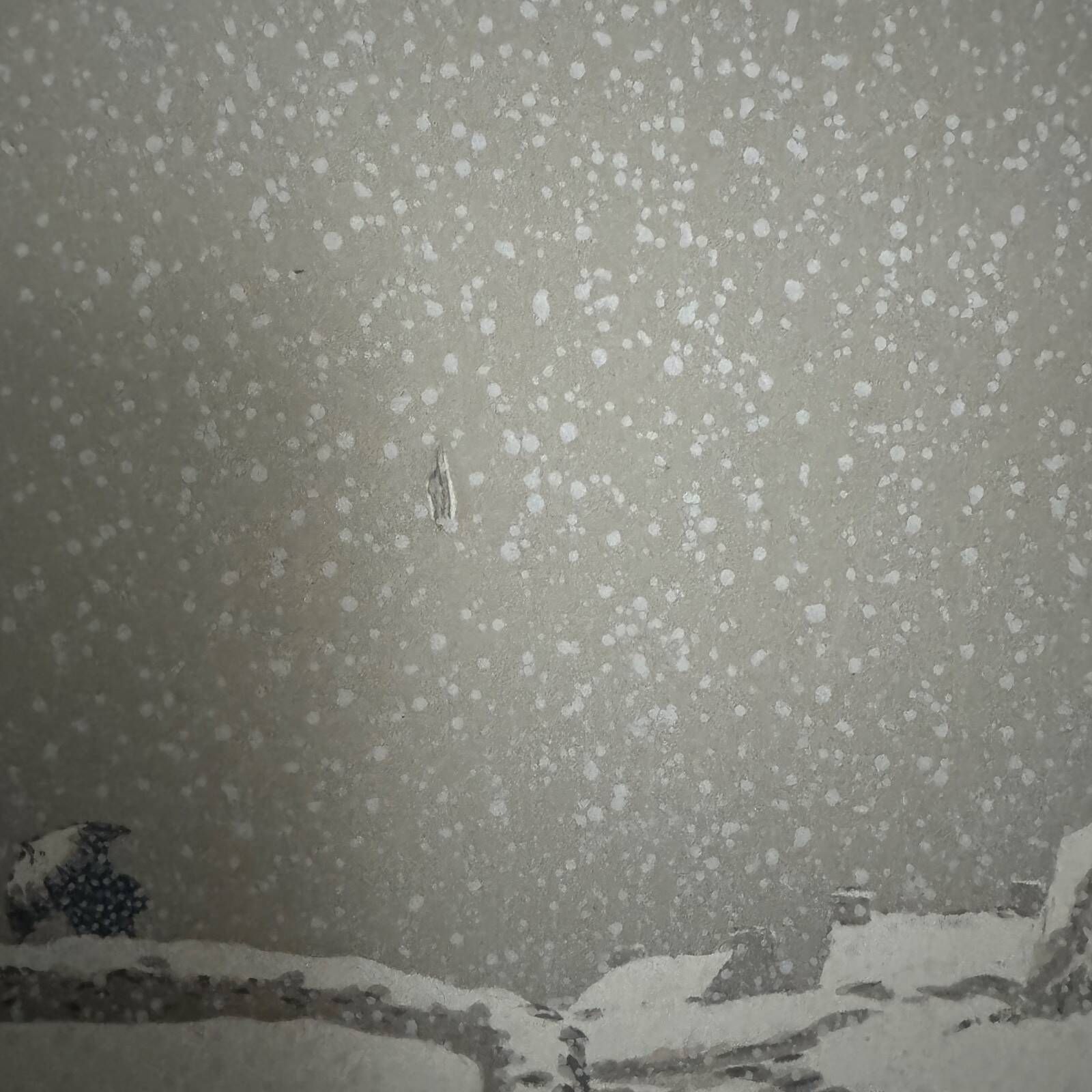 Lithograph by Henri Rivière The Fairyland of Hours - The Snow
