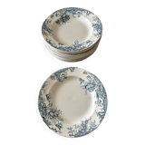 13 deep plates Terre de fer Cyclamens Louis Graves