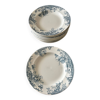 13 deep plates Terre de fer Cyclamens Louis Graves