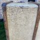 Antique wooden travel trunk