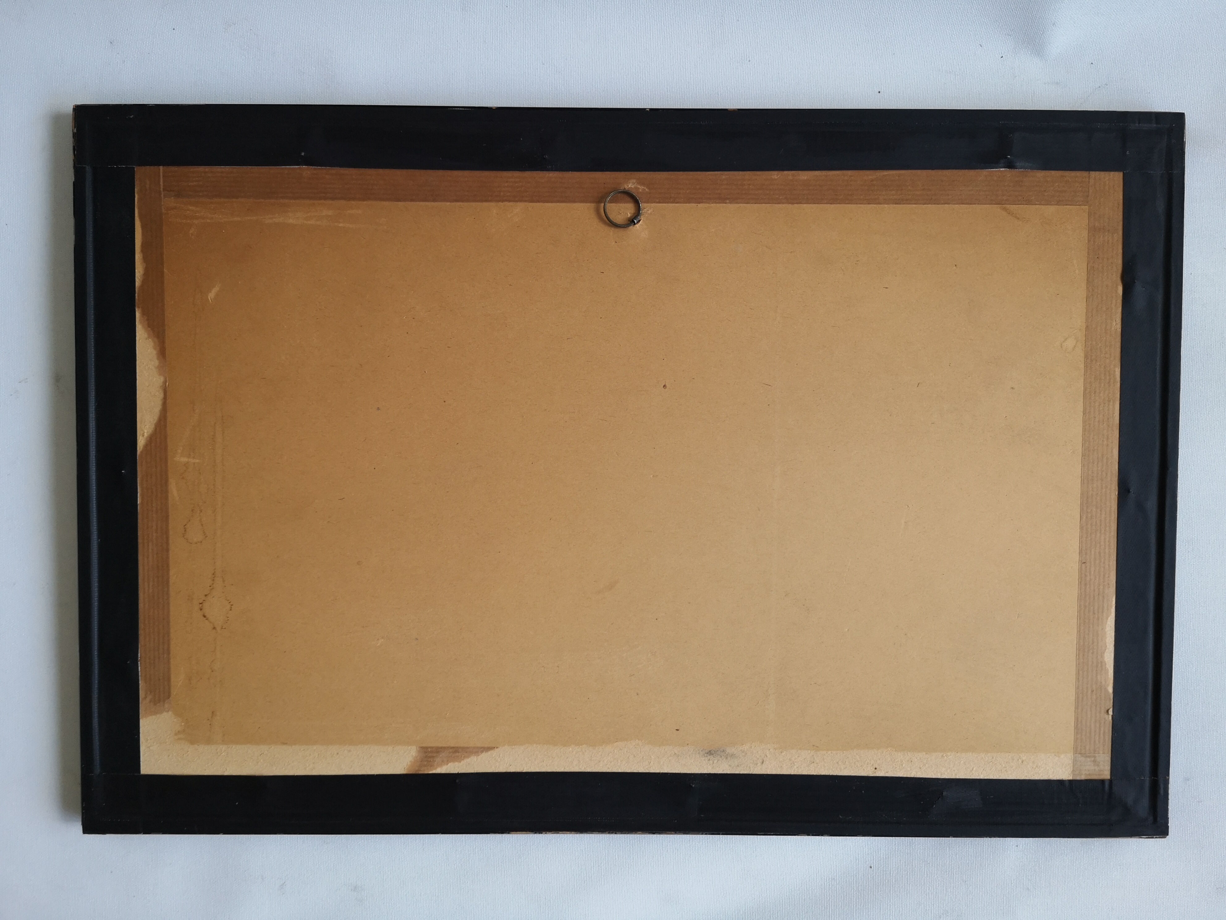 Affiche botanique encadrée “Coignassier, pompelmouse"