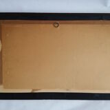 Framed botanical poster "Coignassier, pomplmouse"