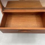 Vintage Jentique small wall unit/display cabinet from the 1960s made of teak