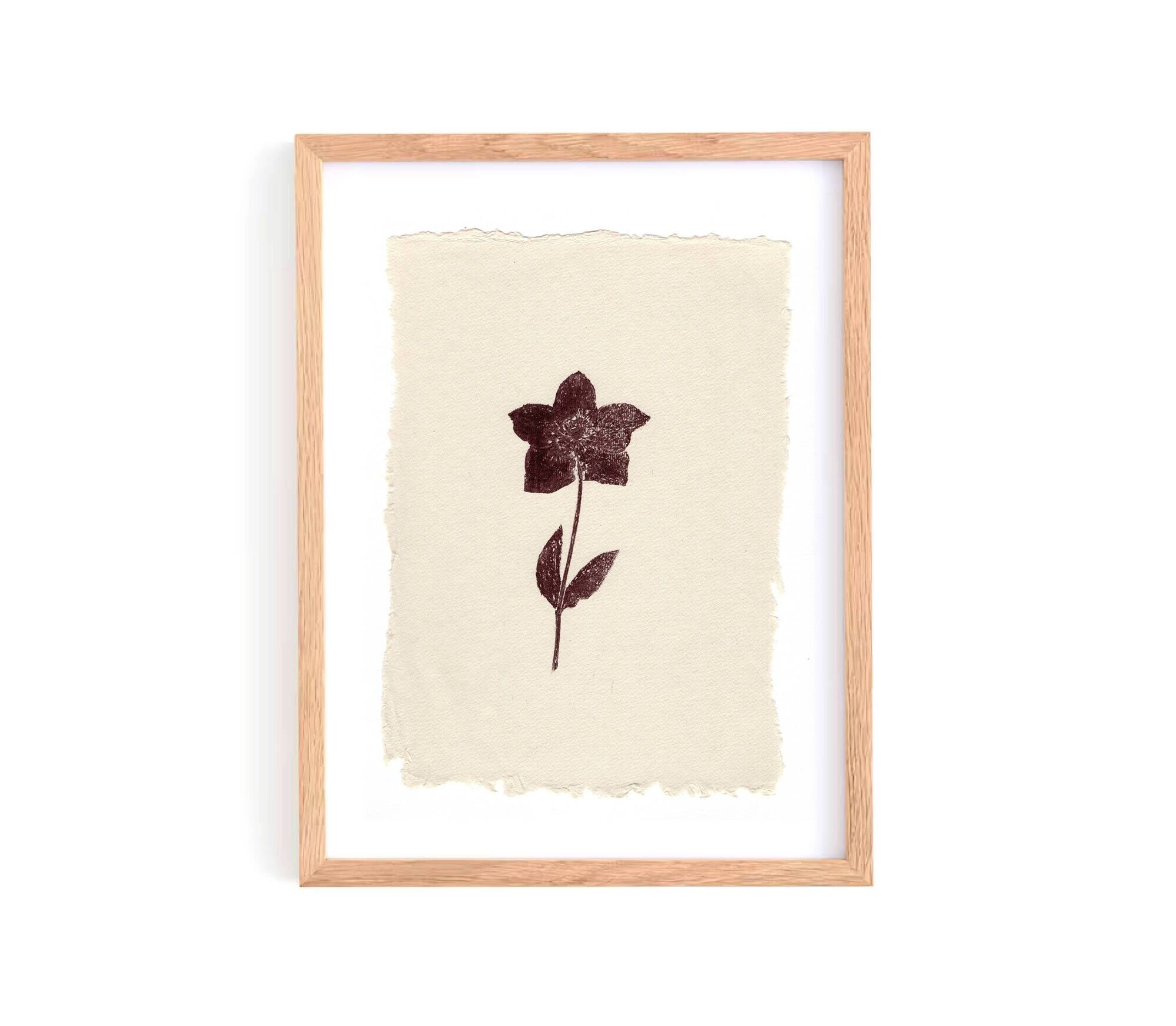 Collection of 4 herbarium paper paintings signed Eawy.