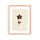 Collection of 4 herbarium paper paintings signed Eawy.