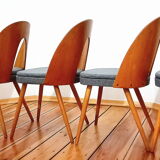 Set of five chairs, design. A. Suman, Tatra Nabytok, Czechoslovakia, 60s