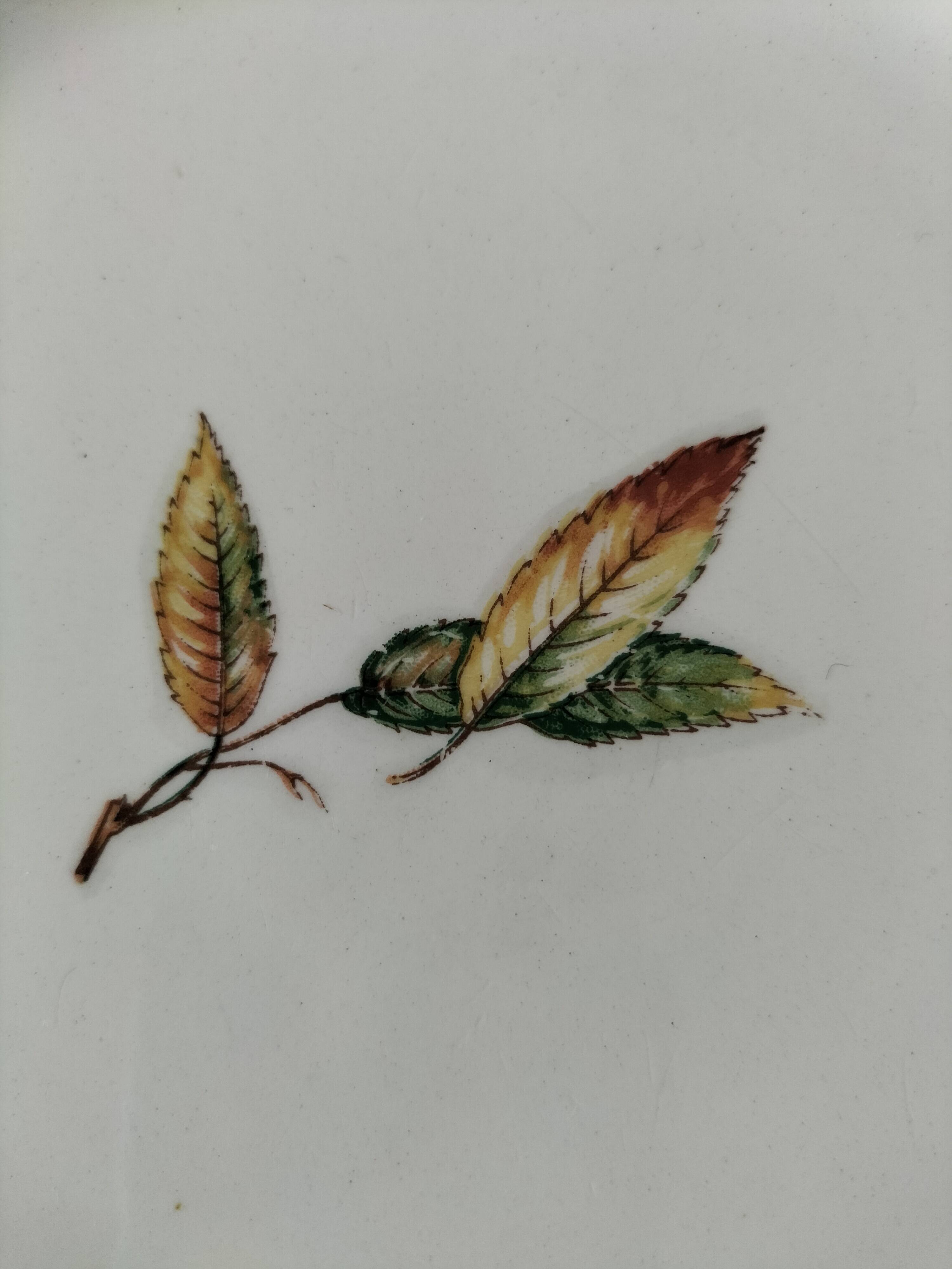 Digoin Sarreguemines Nemours Model Plates.