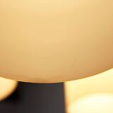 Chandelier with vintage suspensions