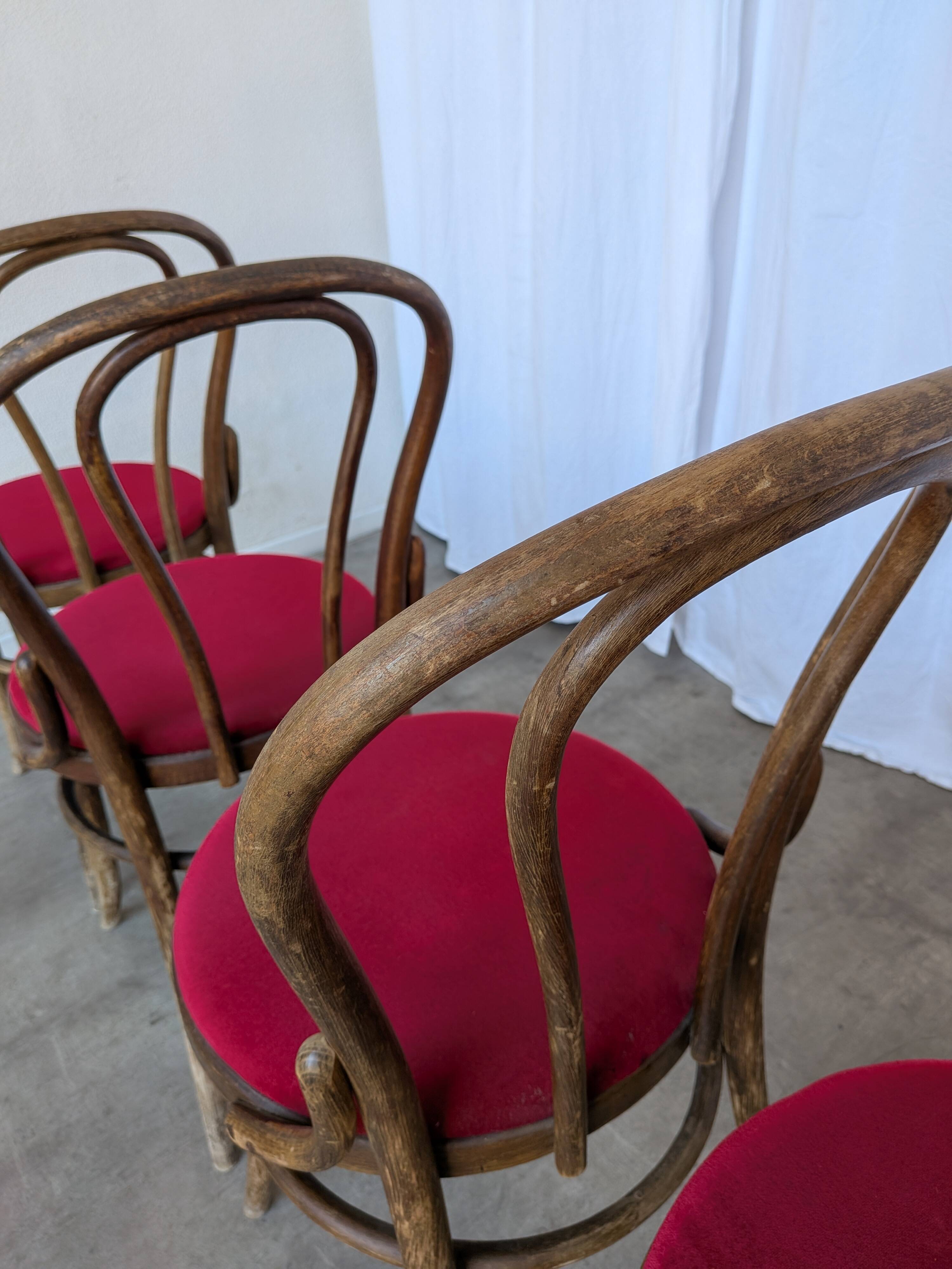 Set of 6 Vintage Bentwood Dining Chairs Set: 1970s , Red Uphols