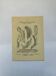 Gravure botanique papillons double face planche naturaliste Eau forte