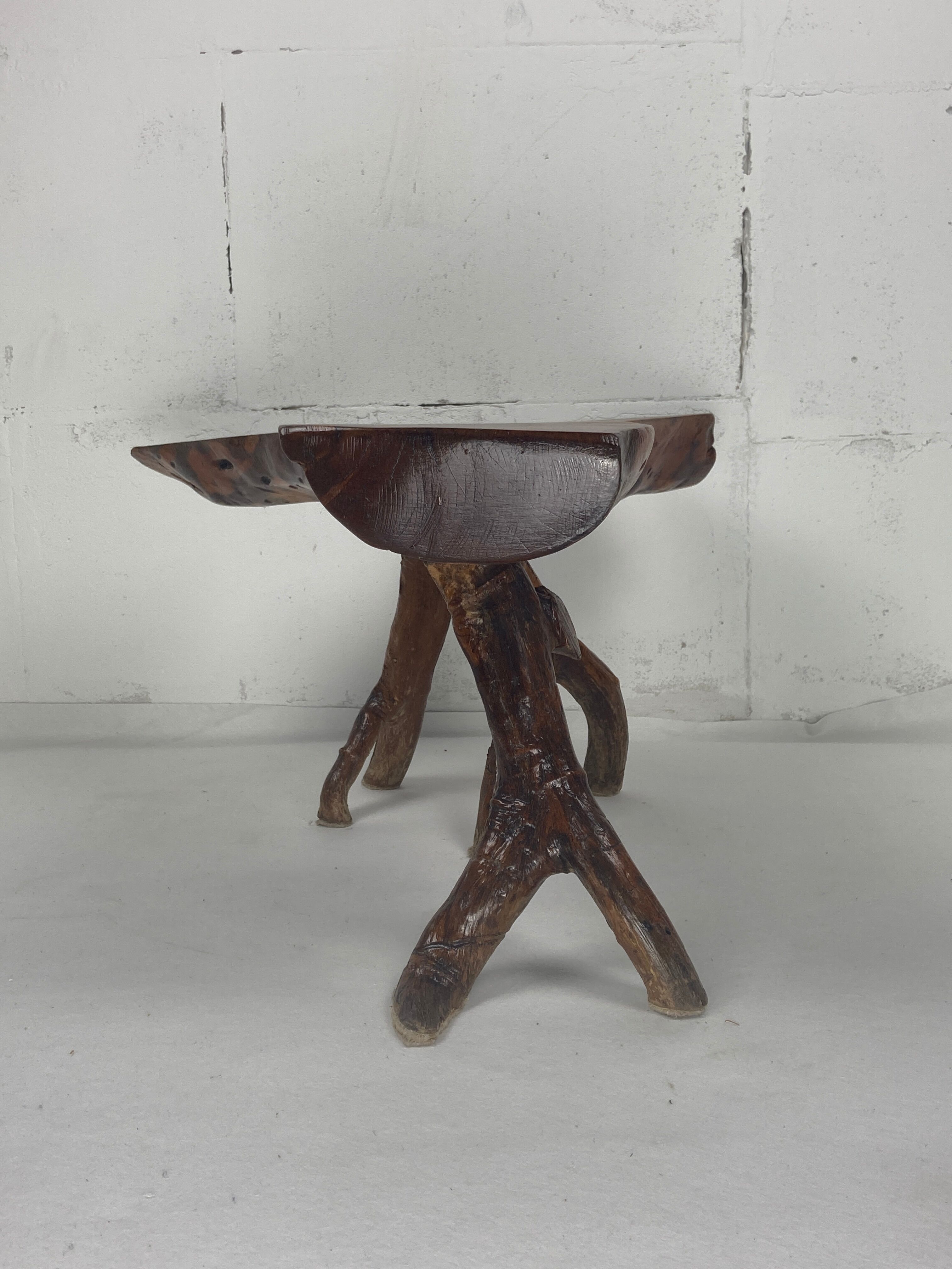 Wabia sabi rustic tree branch side table, Dutch 1960s
