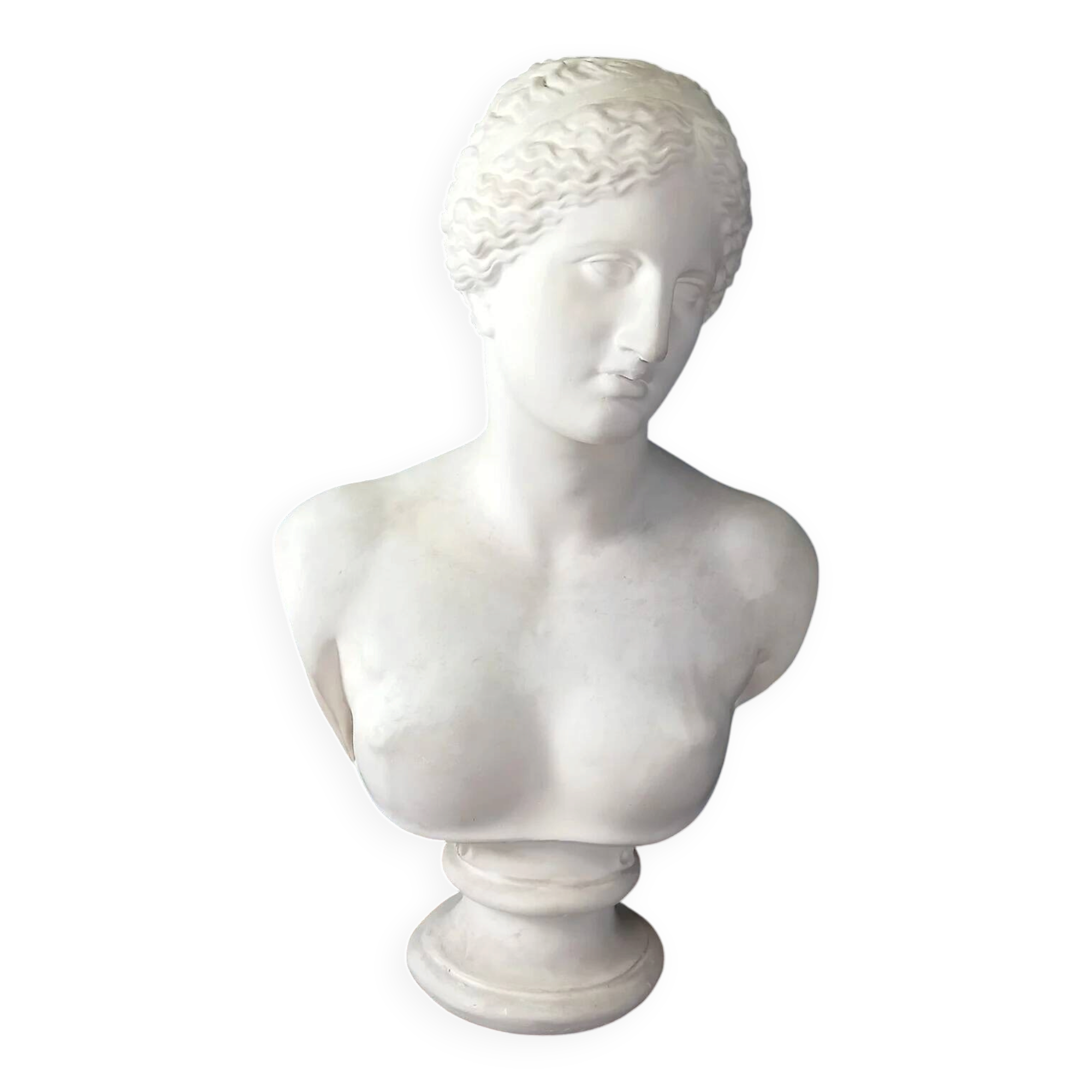 Grand buste de Vénus de Milo