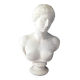 Grand buste de Vénus de Milo