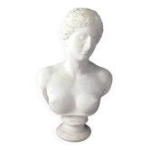 Large Venus de Milo bust