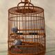 Ancienne cage à oiseaux en bois et rotin
